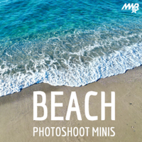 Beach Photoshoot Minis - Coronado, CA - genericImage-websiteLogo-287515-1784659490.3434-0.bQx74I.png