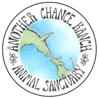 Backyard Run / Walk for the Animals - Neosho, WI - genericImage-websiteLogo-287360-1784565073.5516-0.bQxK1r.png