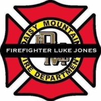 Luke Jones Memorial 5K - Anthem, AZ - 19d4f520-3fc0-4b24-b828-8d70c47fd787.png