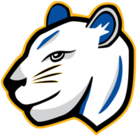 Panther Dash 2026 - Palatine, IL - genericImage-websiteLogo-288367-1786721469.382-0.bQFZs9.png