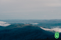 Test Race - Greenville, SC - genericImage-websiteLogo-292296-1789769011.2885-0.bQRBuZ.jpg