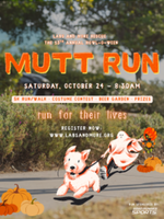 Mutt Run - San Diego, CA - genericImage-websiteLogo-292692-1790230799.7197-0.bQTmep.png