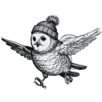 Snowy Owl Trail Race - North Salem, NY - genericImage-websiteLogo-292407-1789964113.9505-0.bQSk9r.png