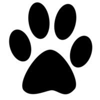 Porter 5K (3.1 mile) Rec Park, Columbia, CT - Columbia, CT - genericImage-websiteLogo-290469-1787779823.5717-0.bQJ1RV.png
