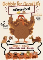 Gobble for Good Life - Lincoln, NE - genericImage-websiteLogo-294875-1792698889.7143-0.bQ2MOj.jpg