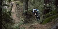 Ucsc mountain store biking