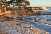 Pacific Grove 10K, 5K, Double 15K - Pacific Grove, CA - 891214f2-0eb4-410e-8adc-50706990fa8f.jpg