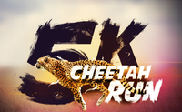 Cheetah Run 5K - Palm Desert, CA - c185521e-cd41-4db8-9bed-7e145ff41fab.jpg