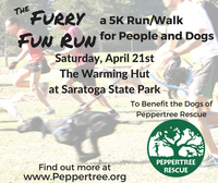 FURRY FUN RUN - 5K RUN/WALK to benefit PEPPERTREE RESCUE - Saratoga Springs, NY - 77cedd21-5d89-448b-838c-b3db304620d9.jpg