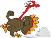 Englewood Turkey Trot on RACEPLACE.com Englewood Turkey Trot - Englewood, FL - 5ab54ca5-189d-436d-a52a-59390c28e4e7.jpg