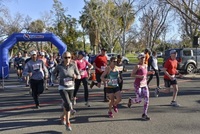 Palm Springs Health Run 2019 on RACEPLACE.com Palm Springs Health Run 2019 - Palm Springs, CA - fadc4fa8-0ba3-45e5-82da-278b10896113.jpg