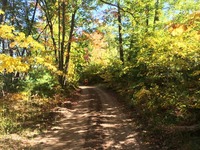The Hungerford Trail Races - Big Rapids, MI - Pics_--_The_Scenery.jpg