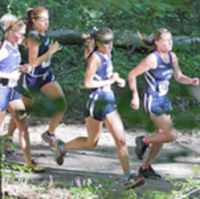 Penn State Abington Invitational on RACEPLACE.com Penn State Abington Invitational - Huntingdon Valley, PA - race23713-logo.bvURZx.png