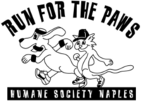 2019 Run for the Paws - Naples, FL - race62843-logo.bB0od4.png