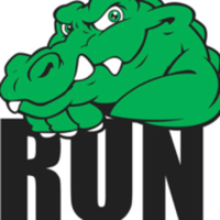 Florida Fidget Spinner Virtual 5k Race, shirt,finisher medal, bib number on RACEPLACE.com Florida Fidget Spinner Virtual 5k Race, shirt,finisher medal, bib number - Saint Augustine, FL - race62879-logo.bBhRz_.png