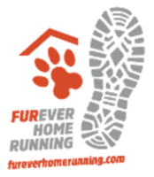 Run to the Polls! 5K/10K/Half Marathon on RACEPLACE.com Run to the Polls! 5K/10K/Half Marathon - Anywhere Usa Austin, TX - logo-20180715130411545.png
