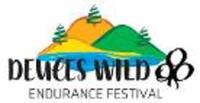 Deuces Wild Endurance Festival - Show Low, AZ - logo-20180730234025695.jpg