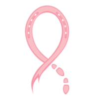 Steps and Strides Against Breast Cancer - Jacksonville, FL - race70201-logo.bCgRpJ.png