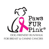 Paws FUR Pink OC - Orange, CA - PawsFURPink_2017-01.jpg