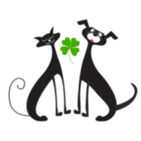 Nate's St. Patrick's Day Trail Run/Walk 5K - Parrish, FL - race71159-logo.bCq2bk.png