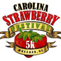 Carolina Strawberry Festival FAST 5K for Stroke Awareness - Wallace, NC - race61209-logo.bB2m3j.png