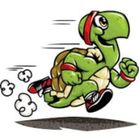 Turtle Lake Turtle Trot - Turtle Lake, WI - race74556-logo.bCOxTd.png