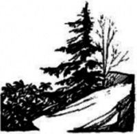 Highlands Sky 40 Mile Trail Run on RACEPLACE.com Highlands Sky 40 Mile Trail Run - Davis, WV - race13706-logo.buALvP.png