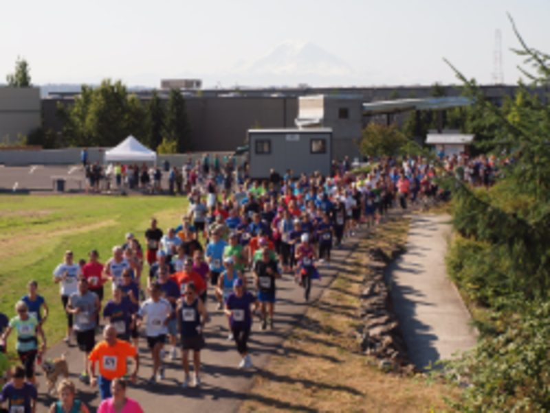 Kent Cornucopia Days 5k Kent Wa 5k Running