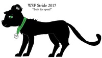 2017 WSF Student Stride for Education - Washougal, WA - 7f6078f9-817a-4b9b-aafa-b1d4b342d6d2.jpg