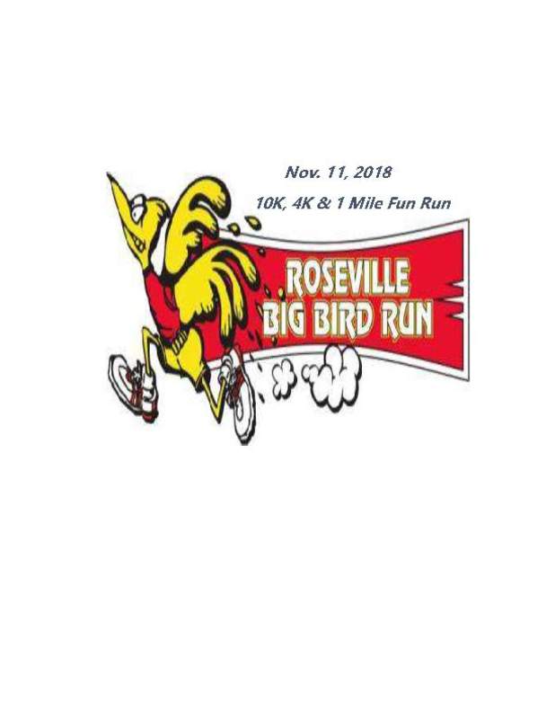 Big Bird Run 41st Annual Roseville, MI 10k Running
