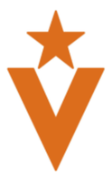 Veritex Bank Virtual 5K Run/Walk - Dallas, TX - race81102-logo.bDG-MU.png