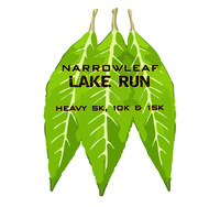 Narrowleaf Lake Run - Pumpkin Run - Kids Fun Run - Loveland, CO - narrows-logo6_copy.jpg