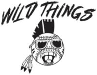 Wild Things 5k presented by Bill Jarrett Ford - Sebring, FL - race83510-logo.bD1OvS.png