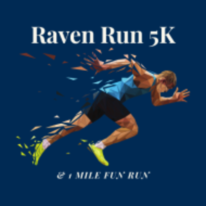 year walk night raven year walk night raven