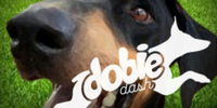 Dobie Dash 2021 - Glendale, AZ - race86779-logo.bEphRZ.png
