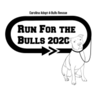 Run for the Bulls Virtual 5K - Durham, NC - race63777-logo.bEYLxd.png
