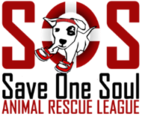 Save One Soul Animal Rescue League Crate Escape Virtual Challenge - Any City - Any State, RI - race92678-logo.bE1baq.png