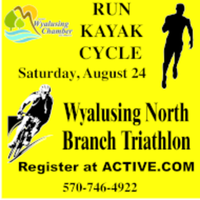 Wyalusing North Branch Triathlon - Wyalusing, PA - race78177-logo.bDi4BC.png