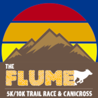 The Flume - Carrabassett Valley, ME - race94591-logo.bFa3uh.png