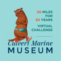 Virtual 50 Mile Challenge - Visit A Local Trail, MD - race97407-logo.bFrNT7.png