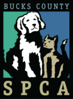 BUCKS COUNTY SPCA 12TH ANNUAL BLACK CAT 5K & 1 MILE FUN WALK - Anytown, PA - race97440-logo.bFrvbD.png