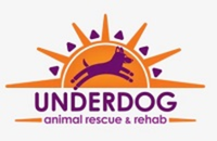 Strut Your Mutt 5k for Underdog - Moab, UT - race99734-logo.bFzn9k.png