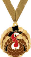 Turkey Day 5k! - Lexington, KY - race102478-logo.bHERF8.png