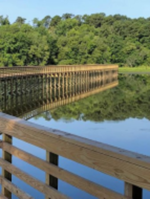 Lake Wilson Spring Trail Races Elm City, NC 5 mile 5k Obstacle Race Running