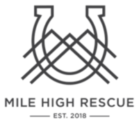 Running for Rescues 5K - Centennial, CO - race108564-logo.bGsuAP.png