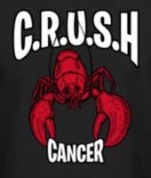 CRUSH Cancer 5k Walk/Run - Jonesboro, ME - race109580-logo.bGxHXS.png