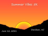 Summer Vibes 5K - Davidson, NC - race110824-logo.bGEWN-.png