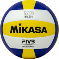 Doogie's Anyone vs Everyone Volleyball Tournament on RACEPLACE.com Doogie's Anyone vs Everyone Volleyball Tournament - Punta Gorda, FL - race111335-logo.bGIguH.png